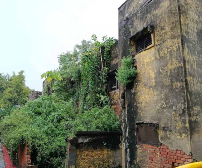शिक्षक कालोनी में ओपन जिम के पास जर्जर आवास। जागरण
